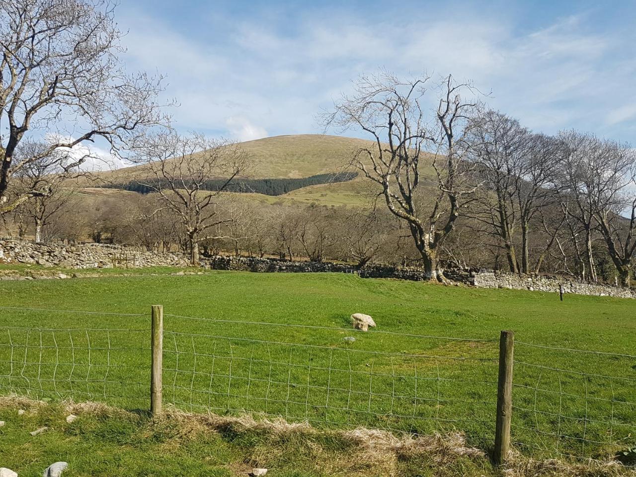 Ty Bach Villa Caernarfon Dış mekan fotoğraf